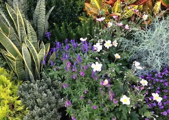 Bed & Breakfast Il Picchio