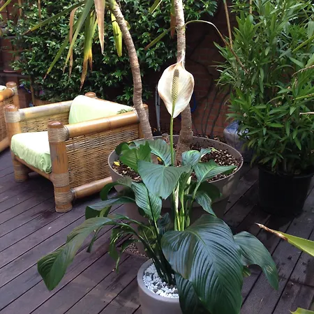 Il Picchio לינה וארוחת בוקר 3*