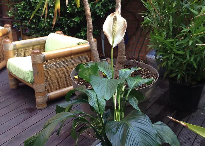 Il Picchio Bed and breakfast 3*