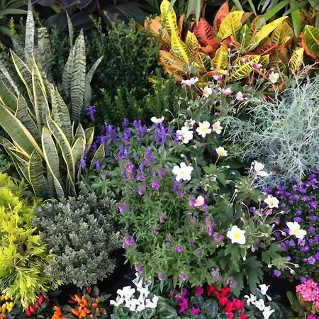 فندق مبيت وإفطار Il Picchio