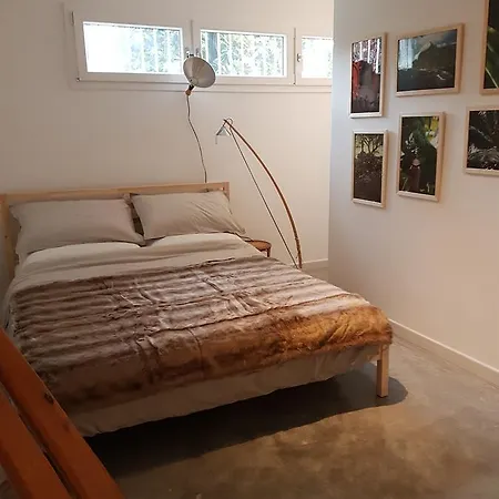 فندق مبيت وإفطار Il Picchio بولونيا